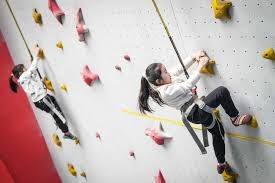 解析“南派牌九”与“北派牌九”：地域文化对博弈规则的影响。（南北牌九之别：地域文化如何塑造博弈规则）