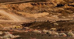 鸣枪深马，与城同行！深圳花游姐妹花与体操“五冠王”的奔跑感悟