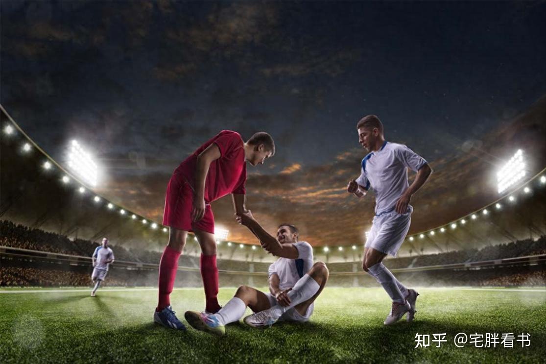 如何培养优秀宝可梦《宝可梦大探险》养成系统大揭秘